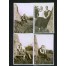 Cztery zdjęcia wykonane w 1932 przedstawiające rodzinę w plenerze