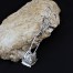 Niezwykle rzadkie szczypce nożycowe wykonane zostały ze srebra próby 800
