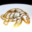 Zbliżenie na żółwia morskiego zdobiącego porcelanę