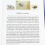 Ćmielów -fajans i ceramika: opis, przykłady, muzealne ilustracje z wartościowymi opisami