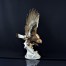 Luksusowy eksponat orła przedniego z markowej porcelany