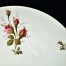 Zbliżenie na motyw róży stulistnej na porcelanie Rosenthal