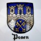 POSEN - herb Poznania malowany na wazonie KOLMAR