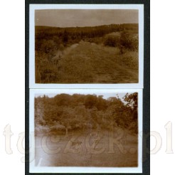 Zestaw dwóch czarno białych fotografii z krajobrazem lasu