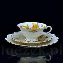 Żarska śniadaniówka - kolekcjonerski model Mimose