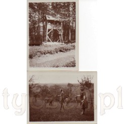 Na pierwszym zdjęciu ambona myśliwska, na drugim zdjęciu jelenie karmione przez kobietę i dziewczynkę na leśnej polanie