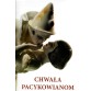 "Chwała Pacykowianom" albumowy katalog wystawy ciekawej ceramiki