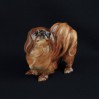 Pekińczyk Hutschenreuther - kolekcjonerska porcelanowa figurka