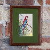 Ara Szkarłatna – dekoracyjna ornitologiczna akwarela, Handley 