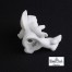 Sygnowana porcelana Rosenthal classic