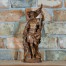 Święty Florian z drewna - dzieło sztuki rzeźbiarskiej