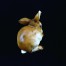 Sygnowany królik porcelanowy wykonany w Bavarii
