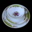 Widoczny motyw bordowej róży na białej porcelanie Rosenthal