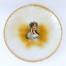 Józefina- cesarzowa francuska- uwieczniona na ceramicznym talerzu z Bonn