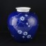 Wazon Rosenthal Kunstabteilung w stylu Jingdezhen - niebiańsko-biała porcelana z motywem Prunus. Echt Kobalt, ręczne malowanie.