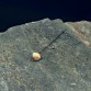 Modowy dodatek w postaci oryginalnej mosiężnej spinki-szpili z kamieniem szlachetnym